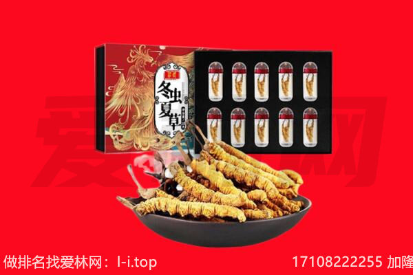宜昌长阳县回收虫草.jpg